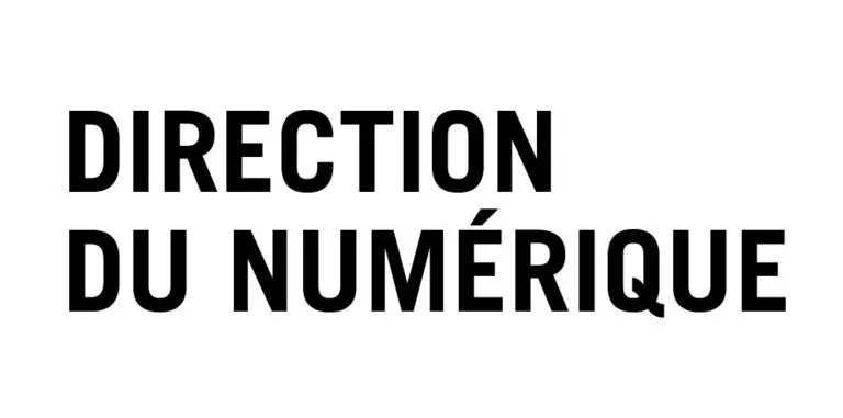 Logo direction du numérique